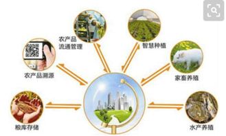智慧农业的网络技术研发 借鉴国外经验，探索中国特色发展道路